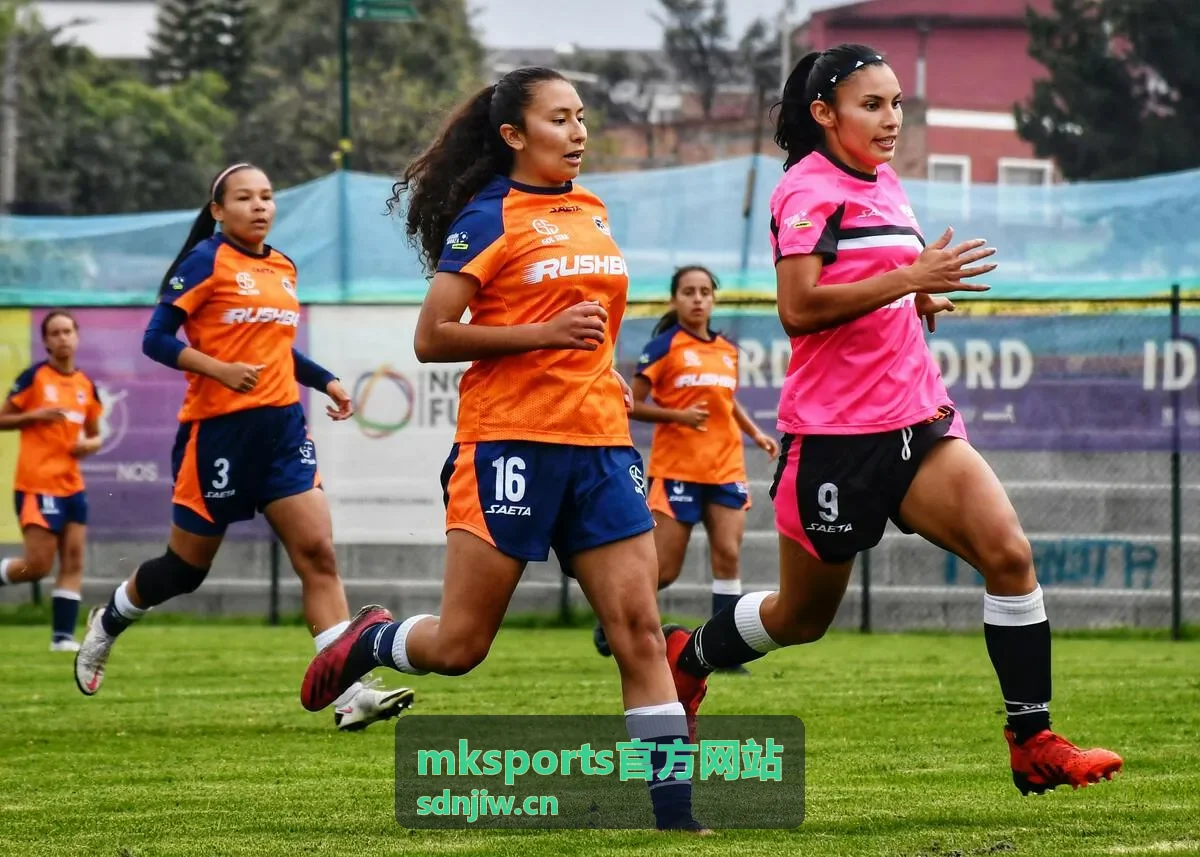 mksports官方网站体育场馆数据整合看板