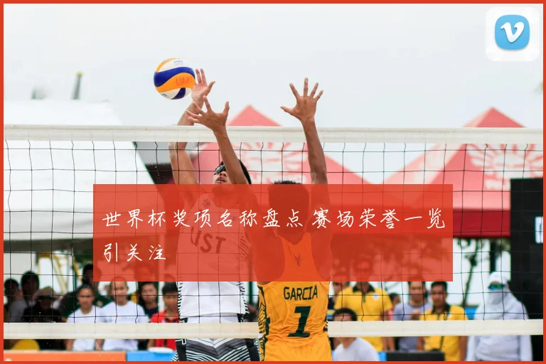 世界杯奖项名称盘点 赛场荣誉一览引关注
