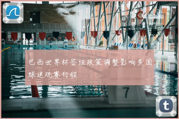 巴西世界杯签证政策调整影响多国球迷观赛行程